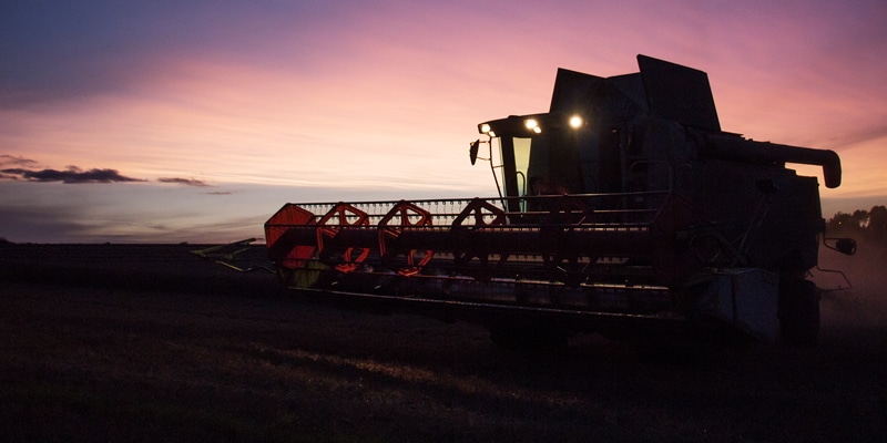 Sunset picture of a harvester